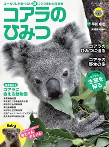 【新刊】コアラのひみつ