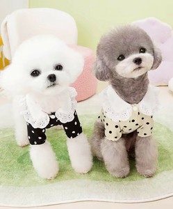犬用服装