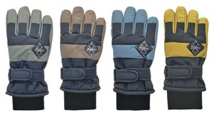 Winter Sports Item Gloves