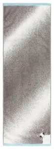 Imabari Towel Towel Handkerchief Hachiware Face Towel