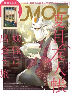 Magazine Plastic Sleeve