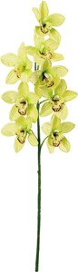 【造花】フルブルームシンビジューム　グリーン　FA -7575GR