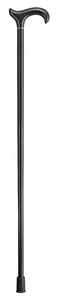 Walking Stick/Cane