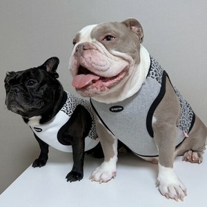 Dog Clothes Pug Tank Top Summer French Bulldog Cool Touch