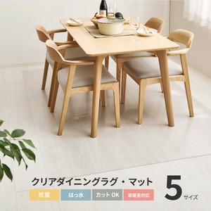 Rug Antibacterial Clear