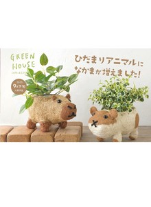 Pre-order Pot/Planter [2025 NEW]