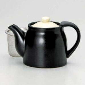 Mino ware Japanese Teapot Japanese Tableware Beige Made in Japan