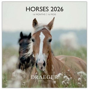 Pre-order Calendar [2025 NEW]