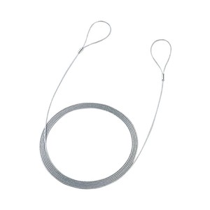 eセキュリティ(ワイヤー、長さ3.0m・直径2.2mm) SLE-11W-3