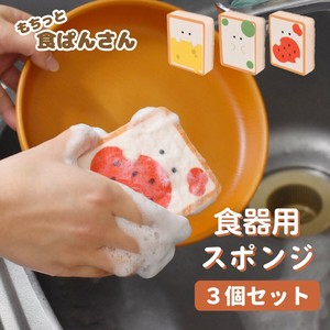 Kitchen Sponge