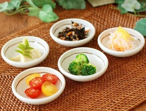 美濃焼ほっこり絵変り小皿　5柄組