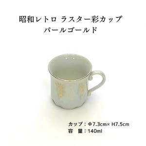 美浓烧 茶杯盘组/杯碟套装 手绘 匠技 日本制造