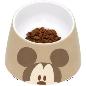 Dog Bowl Mickey Food Bowl Skater