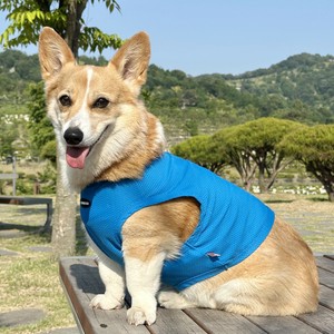 Dog Clothes Cropped Tank Top Mesh Summer Corgi Cool Touch