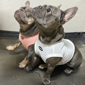 Dog Clothes Pug Cropped Tank Top Mesh Summer Cool Touch