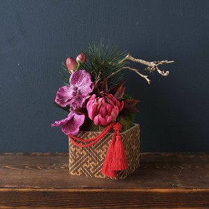 Pre-order Gardening Item Square