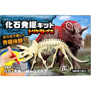 化石発掘キット トリケラトプス 1セット