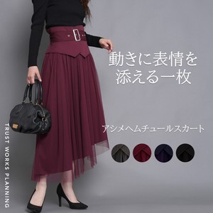 Skirt Asymmetrical Flare Waist [New Item] Tulle Skirts