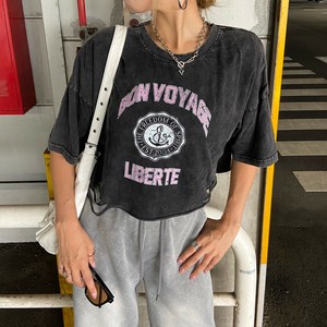 Ghibli T-shirt Short Length [2025 NEW]