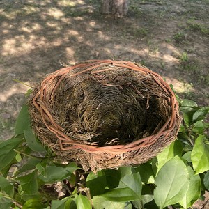 鳥小屋   わら編み  鳥用品    DYLB755