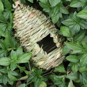 鳥小屋   わら編み  鳥用品    DYLB756