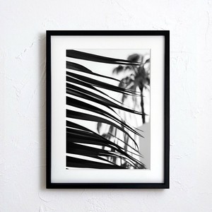 Poster Monochrome