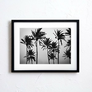 Poster Monochrome