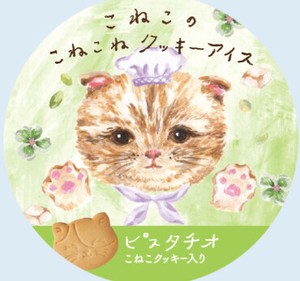 こねこのこねこねクッキーアイス ピスタチオ【4ケース同梱必須　※8種フレーバーより選択可】
