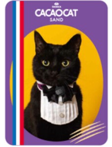 【ハロウィン数量限定】CACAOCAT SAND缶 ミックス 5個入