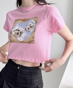 T 恤/上衣 马尔济斯犬 七分长度 春夏