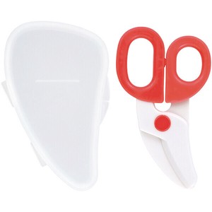 Daily Necessity Item Red Skater