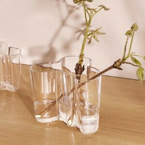 イッタラ ( IITTALA ) アルヴァ・アアルト コレクション ベース 120mm 【国内正規品】