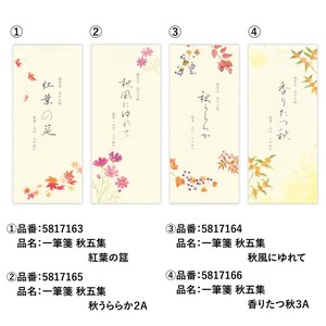 Writing Paper Ippitsusen Letterpad Made in Japan