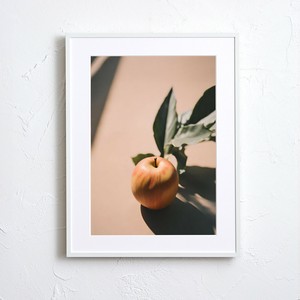 海报 植物 2种尺寸 苹果