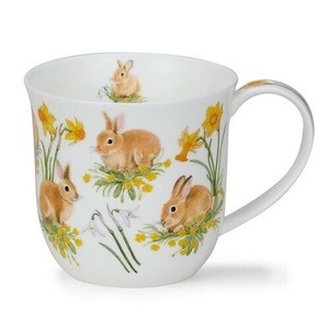 DUNOON（ダヌーン）マグ　  Cumbrae BUNNIES　450ml