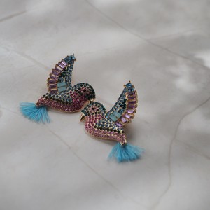Pierced Earringss colorful