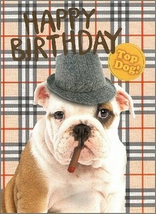 ■フランス輸入■ グリーティングカード★犬　DOG（お誕生日おめでとう）