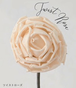 Sola Flower Stem ソラフラワーステム DESIGN COLLECTION Twist Rose ツイストローズ