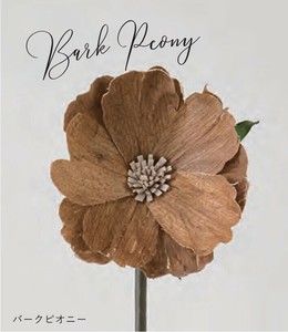 Sola Flower Stem ソラフラワーステム DESIGN COLLECTION Park Peony パークピオニー
