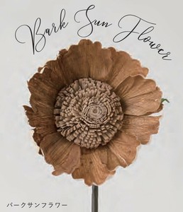 Sola Flower Stem ソラフラワーステム DESIGN COLLECTION Park SunFlower パークサンフラワー