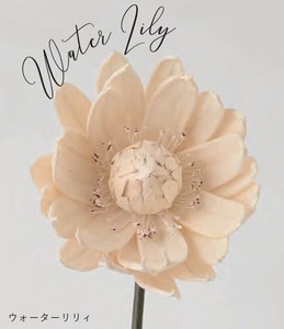 Sola Flower Stem ソラフラワーステム DESIGN COLLECTION WaterLily ウォーターリリィ