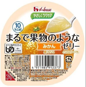 ハウスギャバン やさしくラクケア まるで果物のようなゼリー みかん