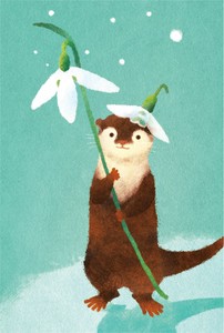 明信片 水獭 垂挂式