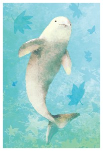 Postcard