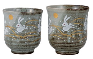 Kutani ware Japanese Teacup