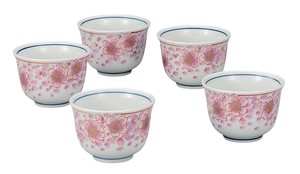 Kutani ware Japanese Teacup