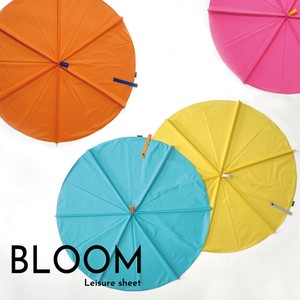 Picnic Blanket bloom