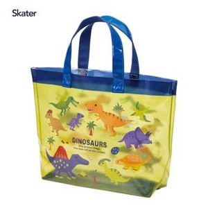 Beach Item Dinosaur book Skater