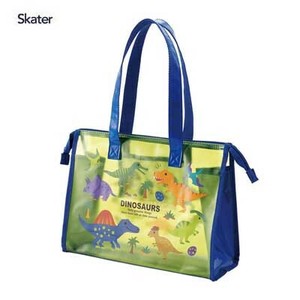 Beach Item Dinosaur book Skater