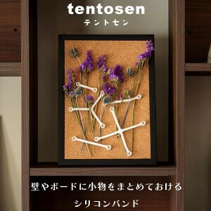 磁铁/吸铁石/图钉/按钉 矽胶